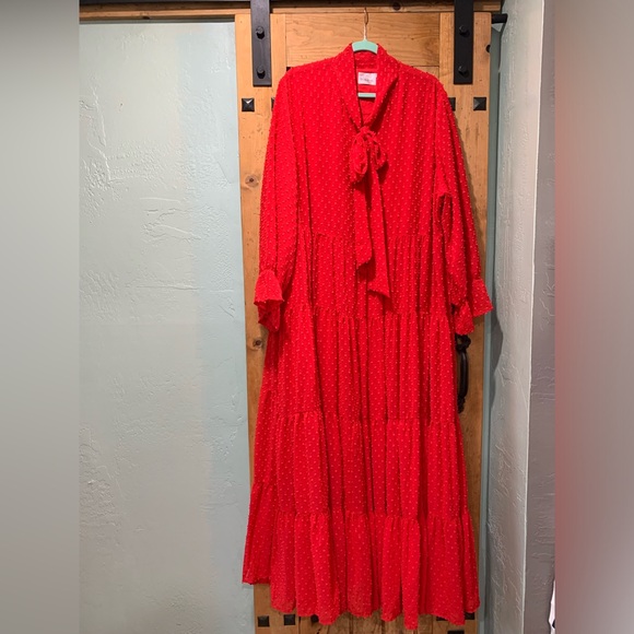 DJ Maxi Length Red Dress - Picture 6 of 6